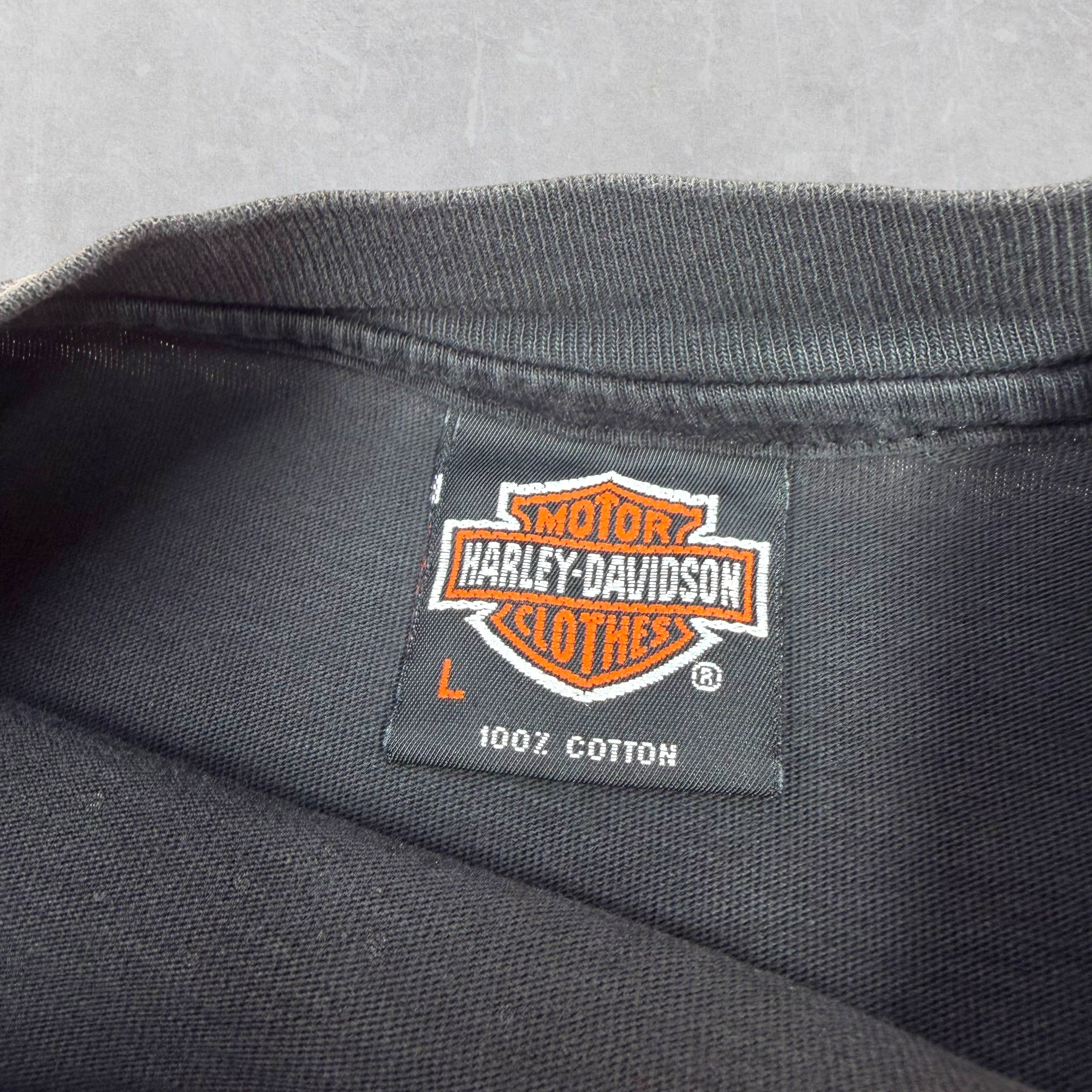 Vintage 90s Harley Davidson Russia Tee L
