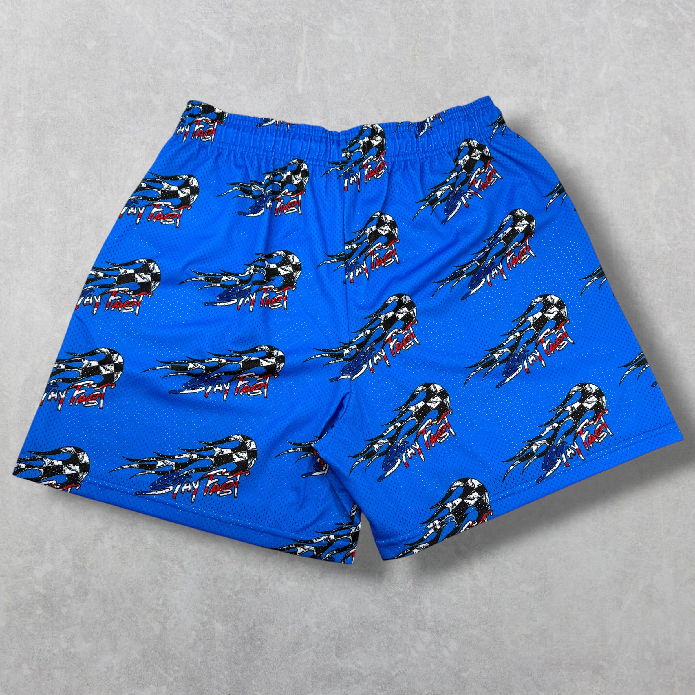Eric Emanuel x Matty Boy EE Basic/Core Shorts Blue XXL