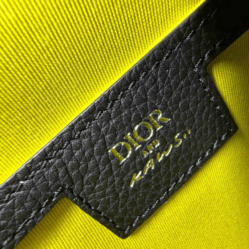 Dior X Kaws Mini Rider 2.0 Zipped Messenger Bag