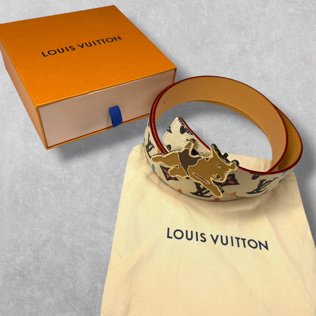 Louis Vuitton by Tyler the Creator Monogram Belt 95 (34)