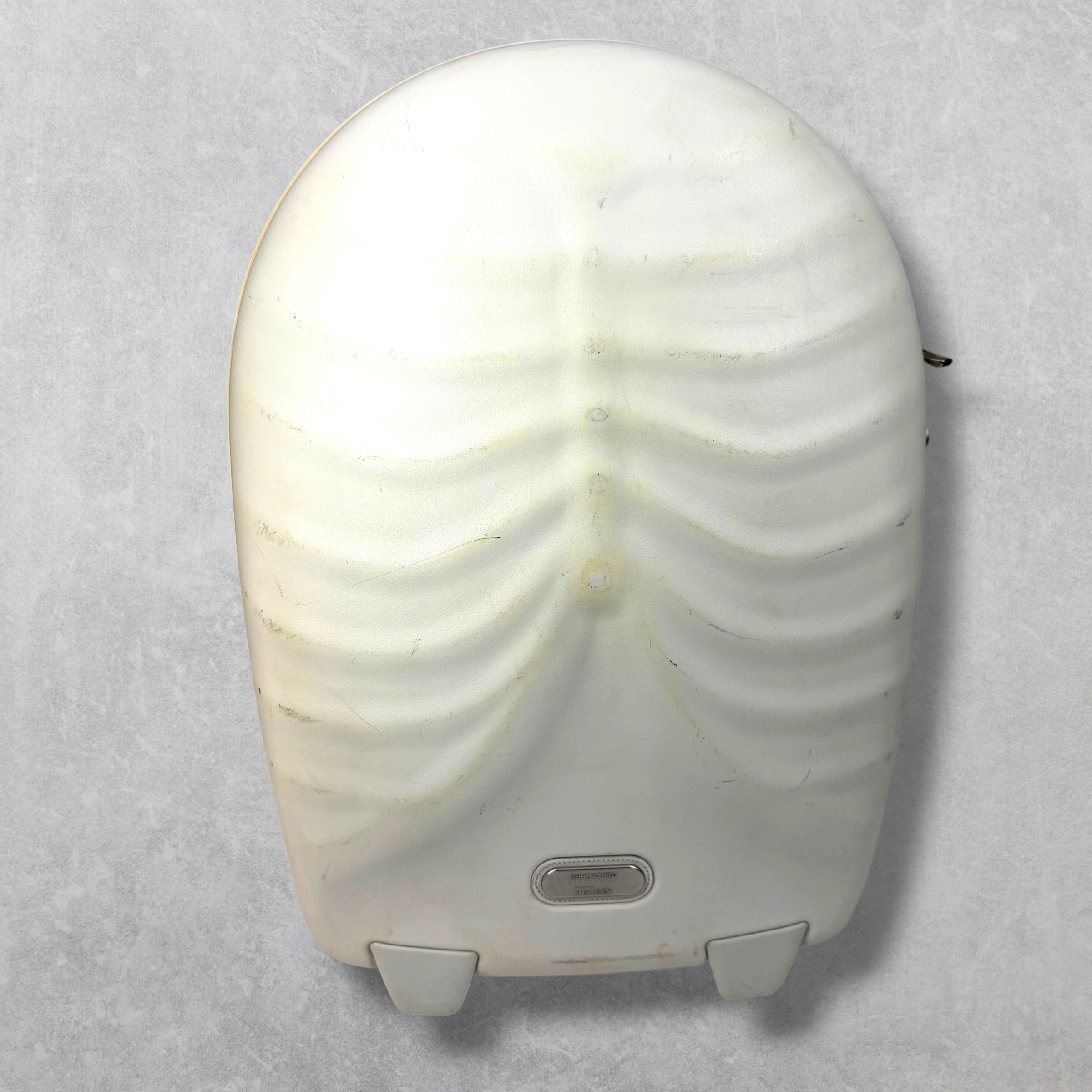 Alexander McQueen x Samsonite Ribcage Luggage