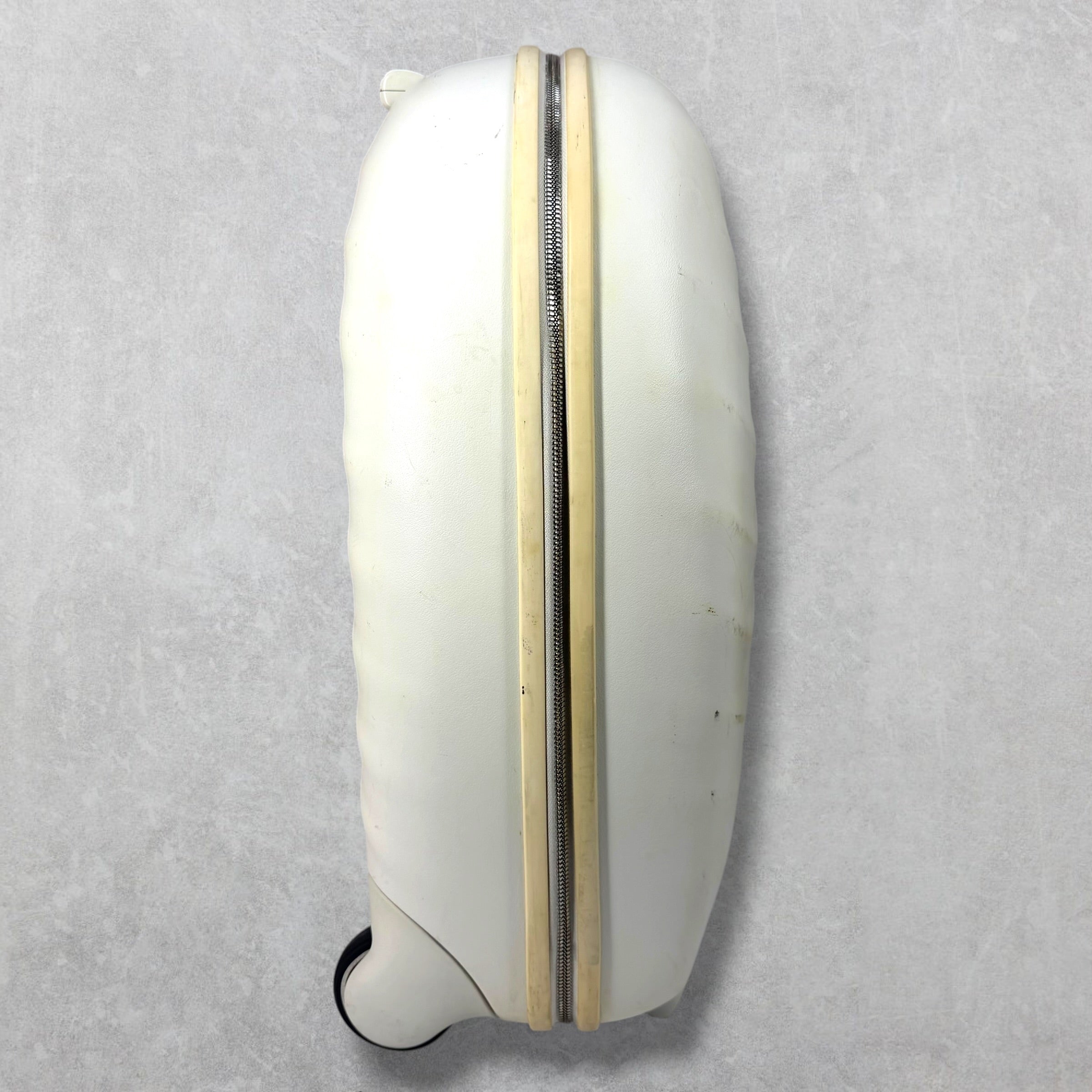 Alexander McQueen x Samsonite Ribcage Luggage