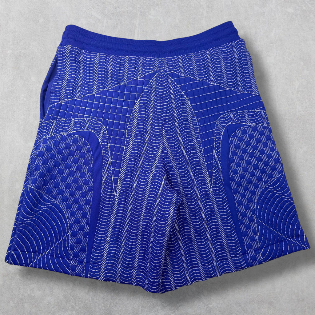 Louis Vuitton Graphic Damier Jogger Shorts XL