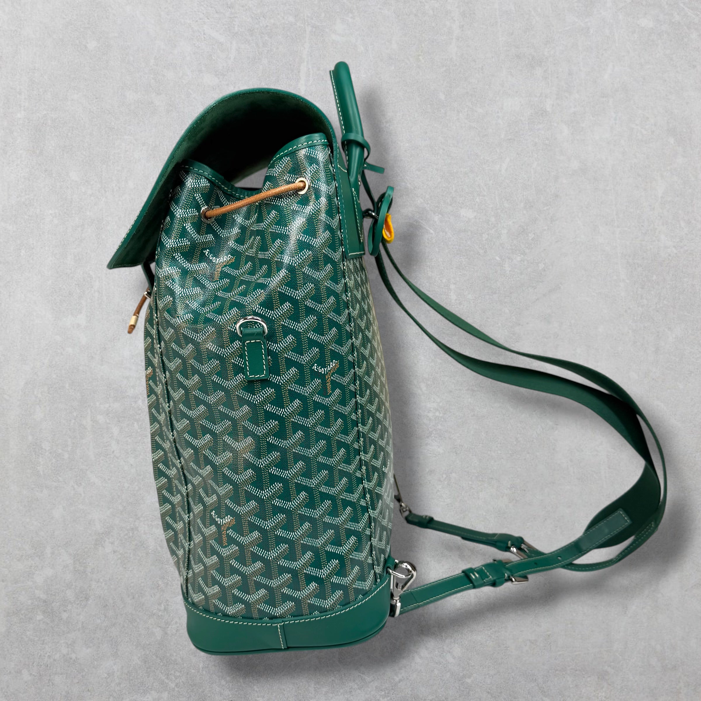 Goyard Green Alpin Backpack