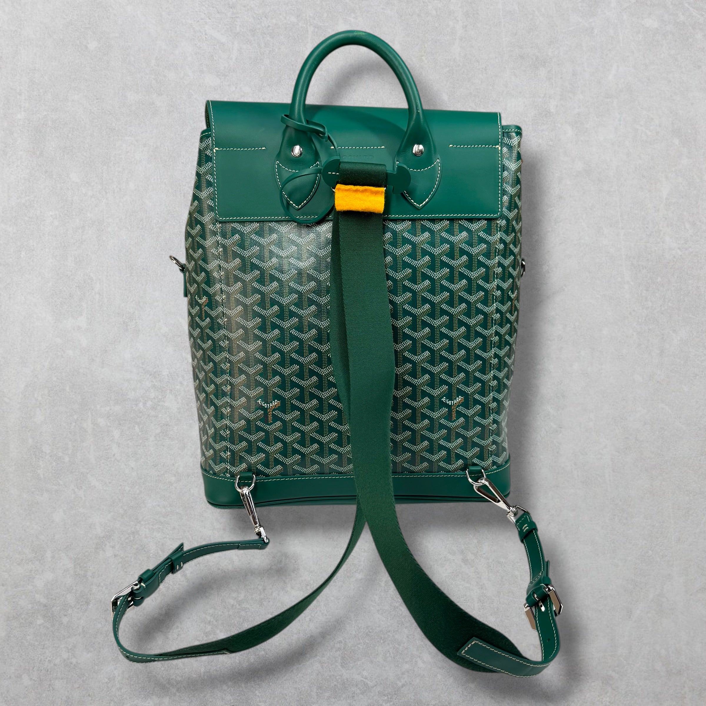 Goyard Green Alpin Backpack