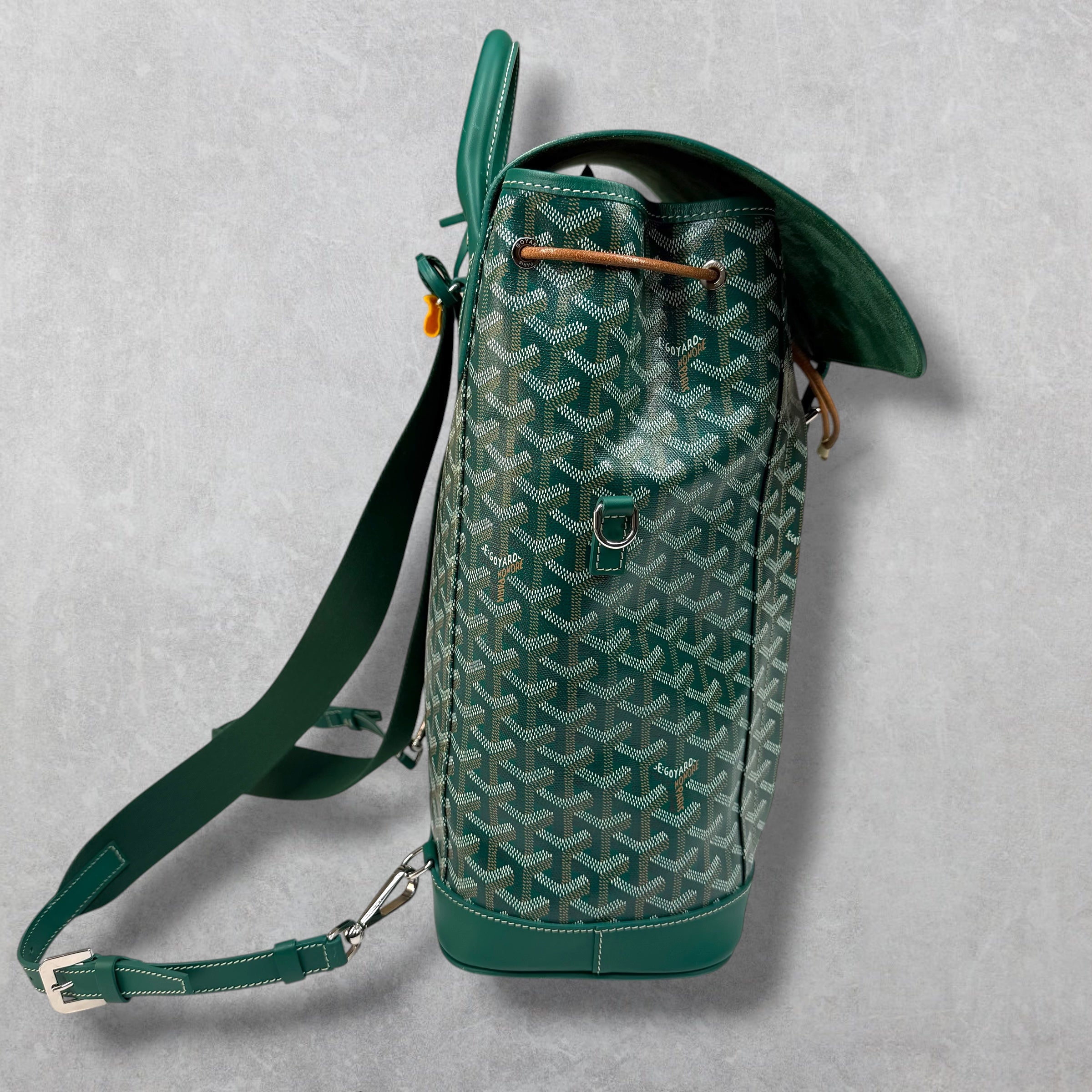 Goyard Green Alpin Backpack