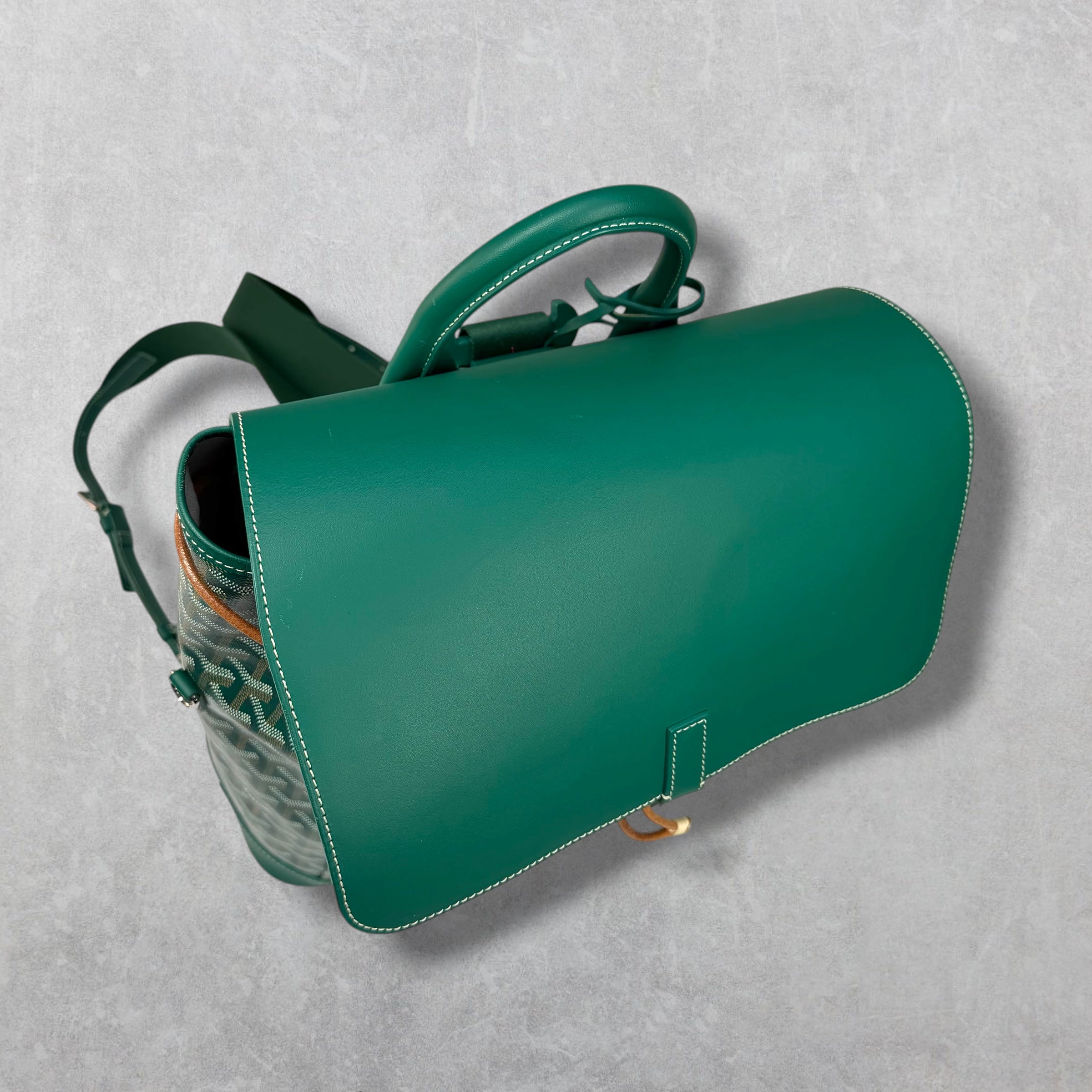 Goyard Green Alpin Backpack