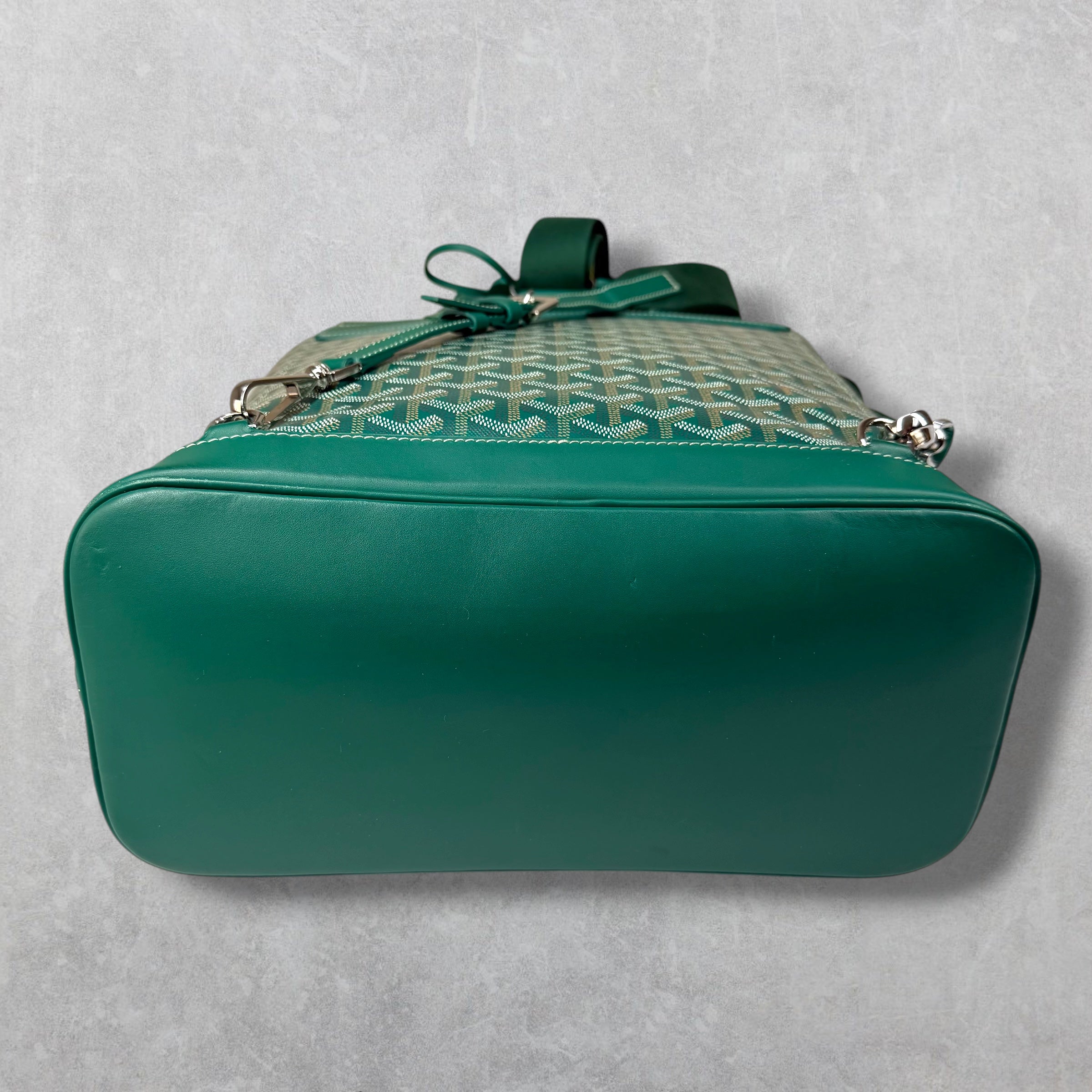 Goyard Green Alpin Backpack
