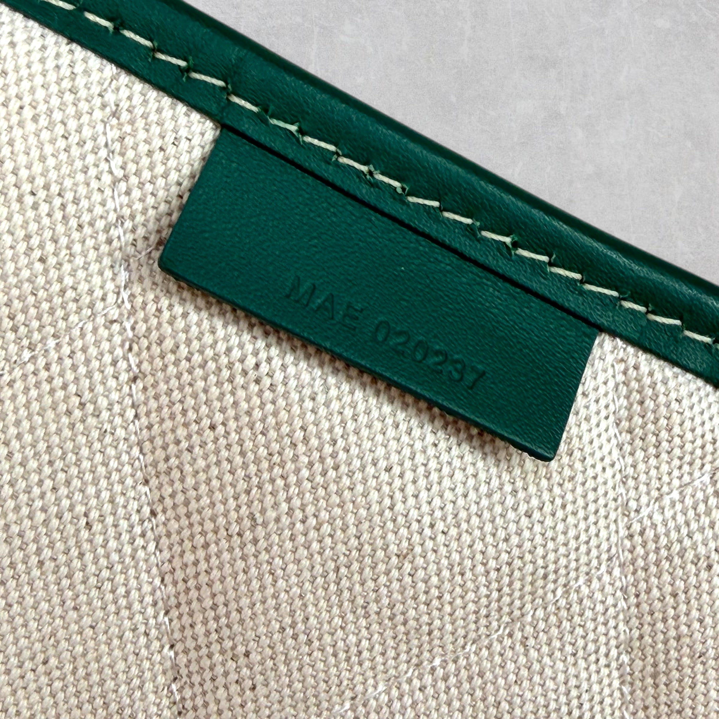 Goyard Green Alpin Backpack