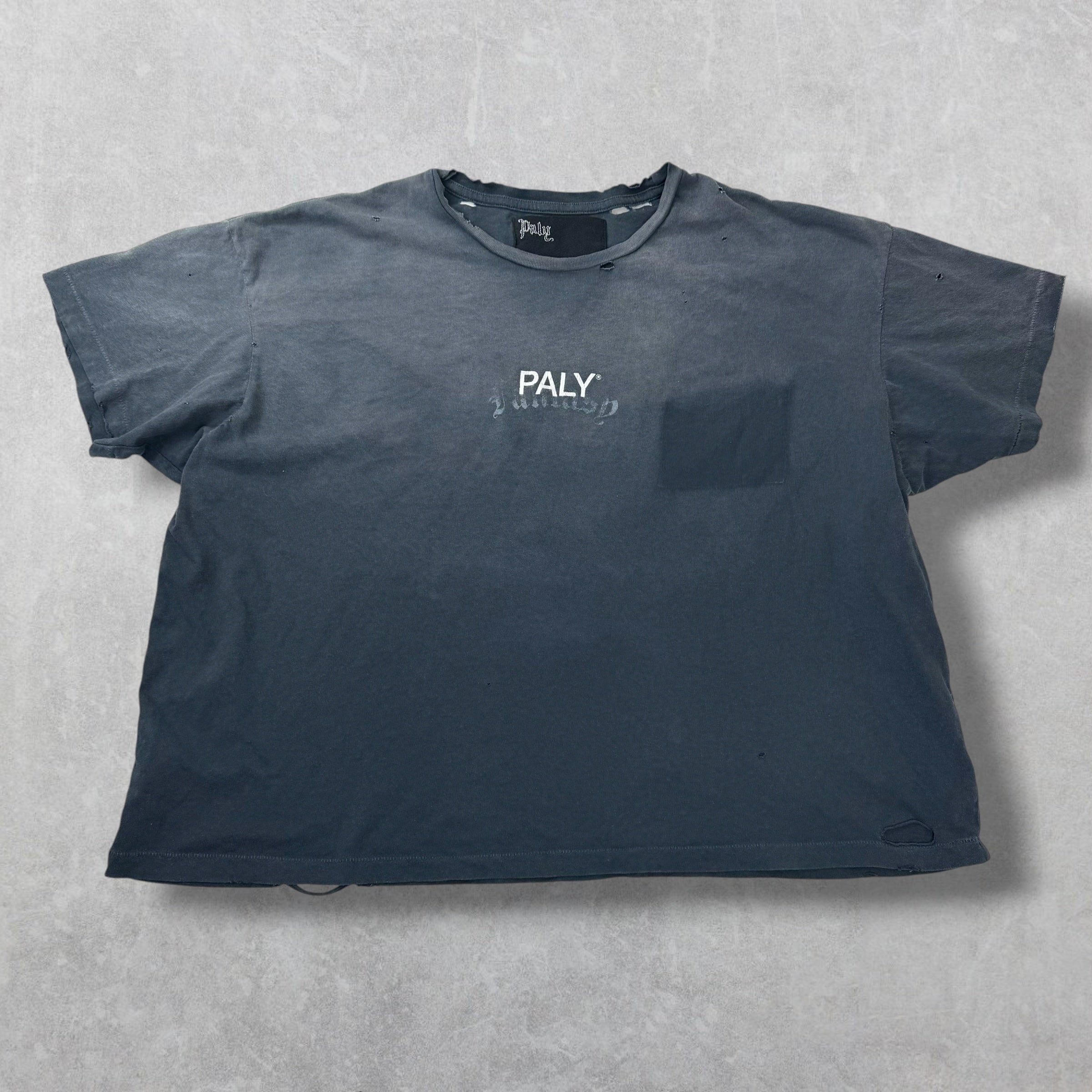 Paly Hollywood Navy Core Logo Tee L