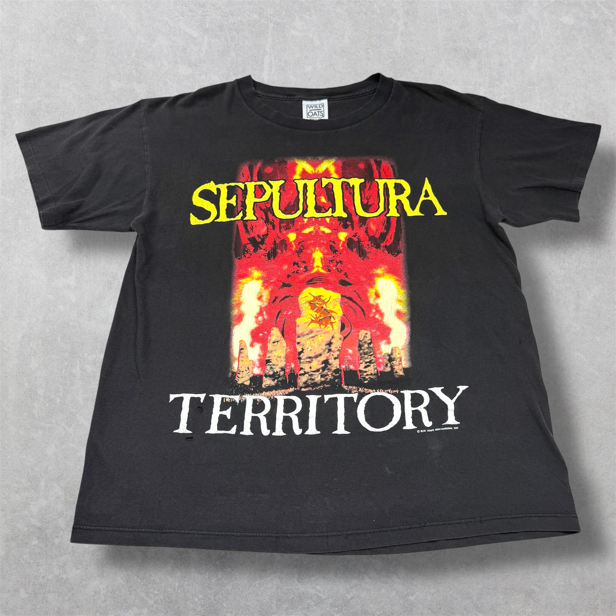Vintage 1993 Sepultura Territory Band Tee L